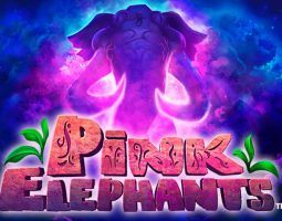 Pink Elephants kostenlos spielen Pink Elephants kostenlos spielen