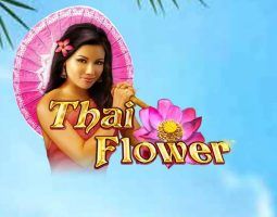 Thai Flower Online Kostenlos Spielen Thai Flower Online Kostenlos Spielen